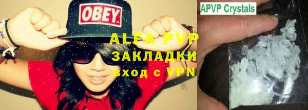 стафф Алексин