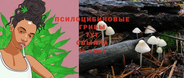 СК Абинск