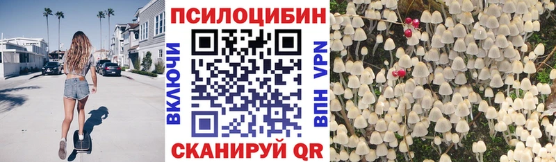 Псилоцибиновые грибы мицелий  Шахунья 